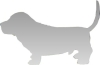 Accessories For Dog & Cat