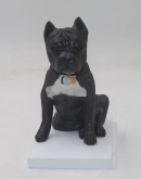 Dog Bobblehead from your photo